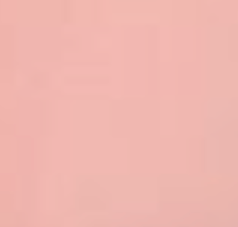 CARNATION PINK